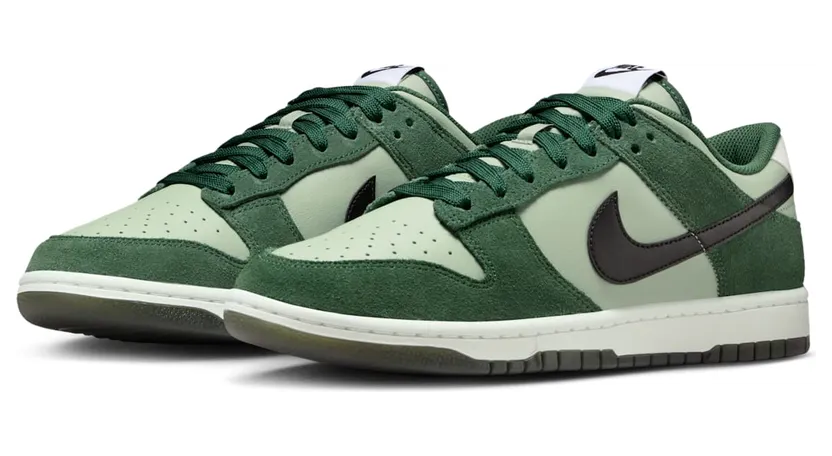 nike-dunk IB6399-301