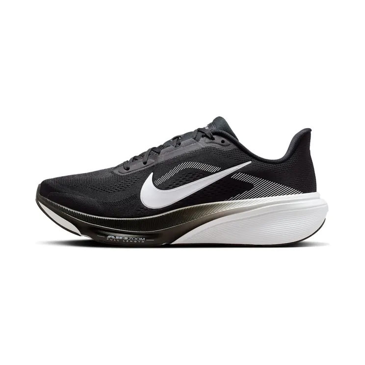 Nike Pegasus “Black / Photon Dust / White” (IB1873-001)