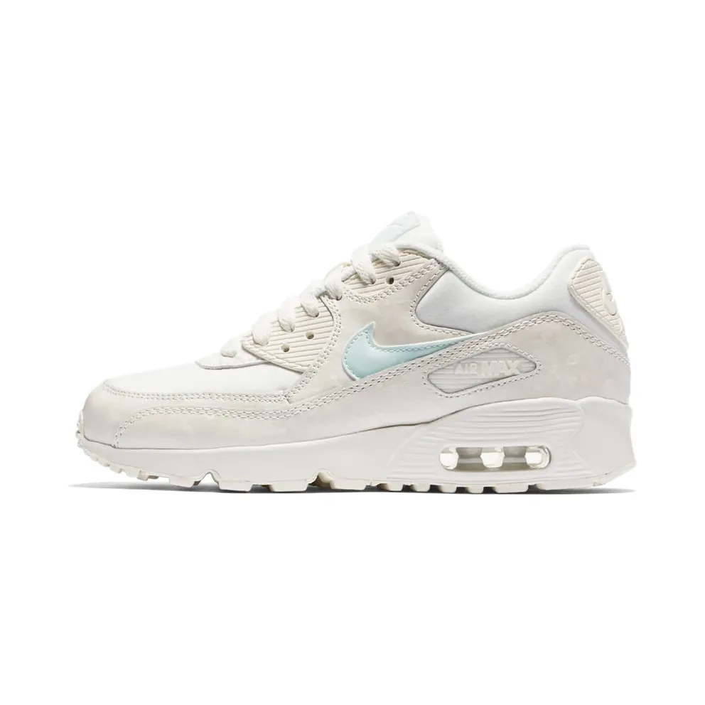 Nike Air Max 90 Sail Igloo (GS)