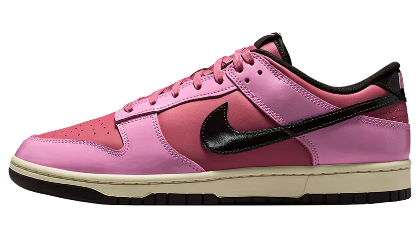 Nike Dunk Low Retro “Donut” (IM4415-600)