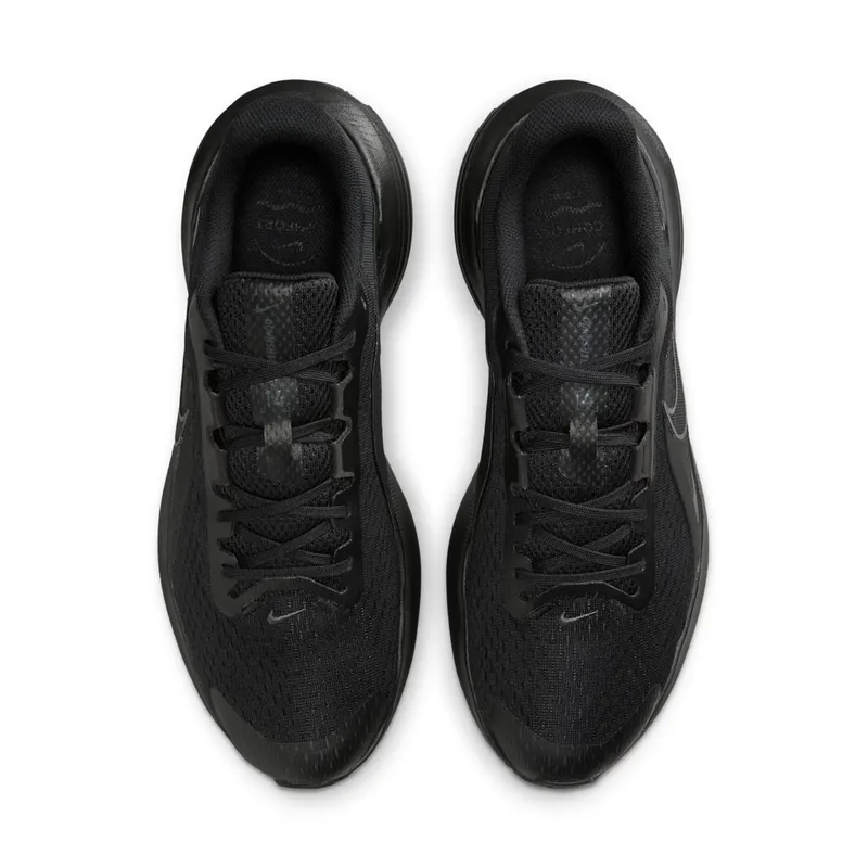 Nike Downshifter Black/Anthracite/Black (IB1895-001)