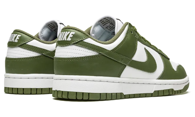 nike-dunk DD1503-120