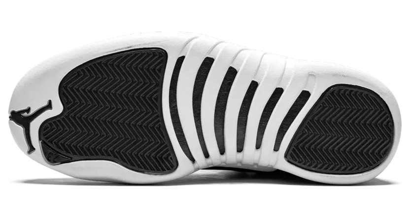 air-jordan-12 572646-849