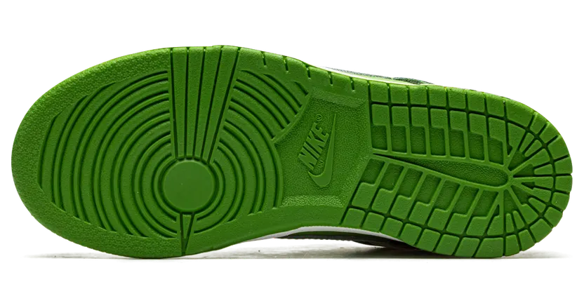 nike-dunk DH9756-301