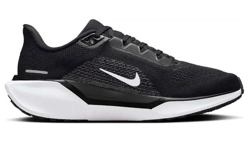 nike-air-pegasus FD2723-002