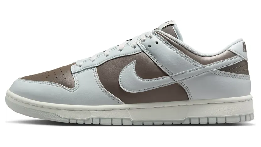 Nike Dunk Low HF5441-202