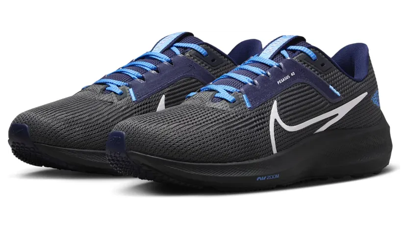 nike-air-pegasus DZ5970-001