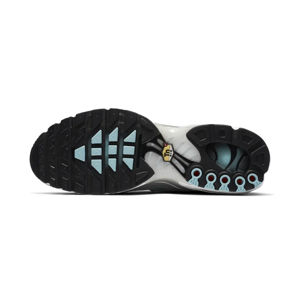 Nike Air Max Plus Light Smoke Grey Glacier Ice Light Smoke Grey/Glacier Ice-Metallic Silver-White (CZ7552-002)