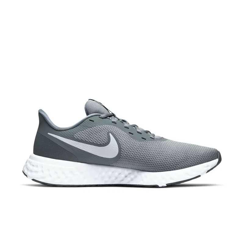Nike Revolution 5 Cool Grey Cool Grey/Dark Grey-Pure Platinum (BQ3204-005)