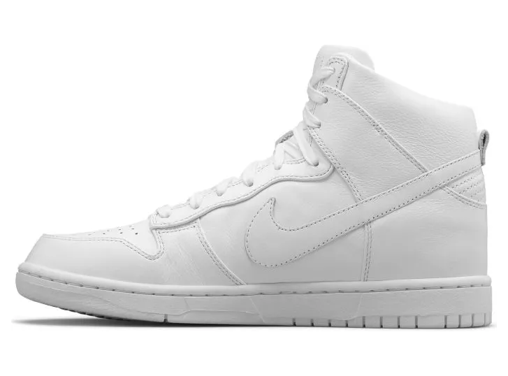 nike-dunk 718790-101