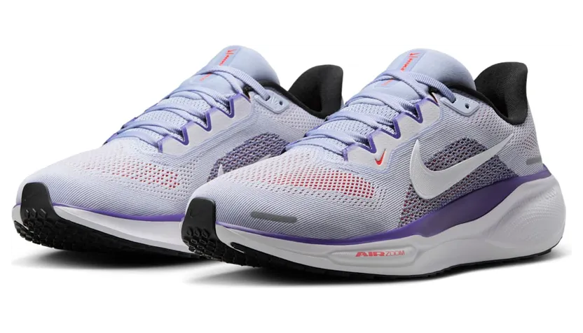 nike-air-pegasus FD2723-013