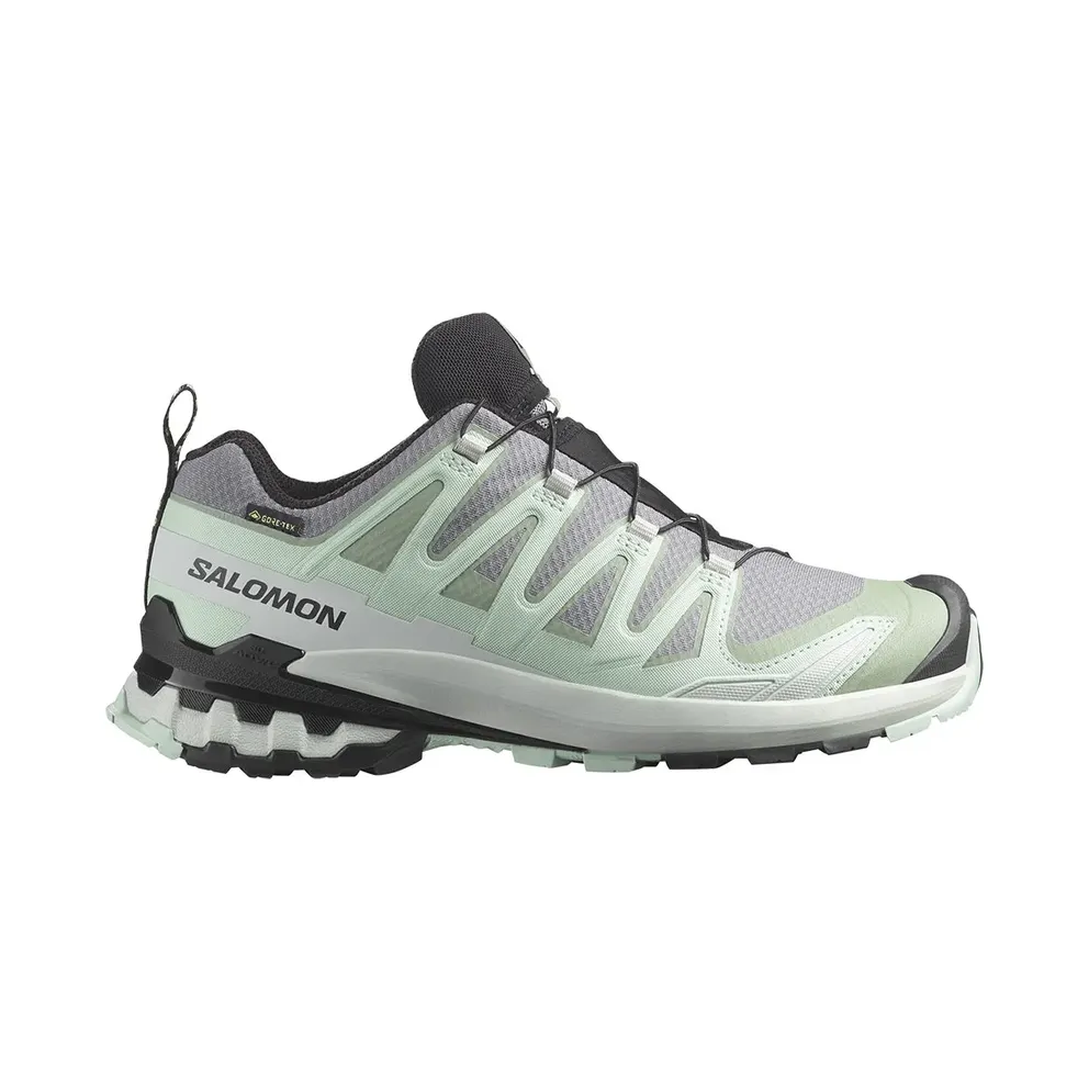 Salomon XA PRO 3D V9 GTX W Women, Grey (L47823100)