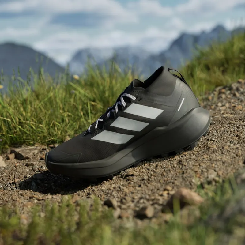 Adidas Terrex Agravic GTX Trail Running Core Black / Silver Dawn / Grey Two (IH5358)