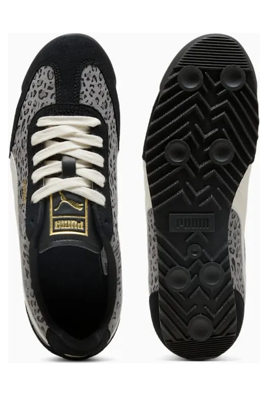 puma-arizona 40899802