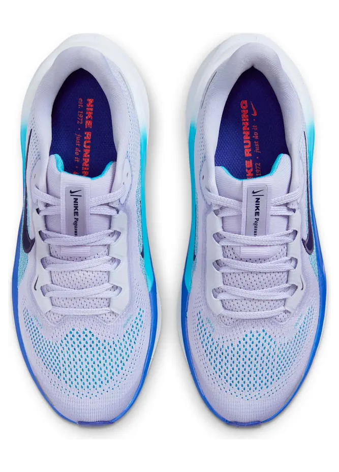 nike-air-zoom FN5041-004