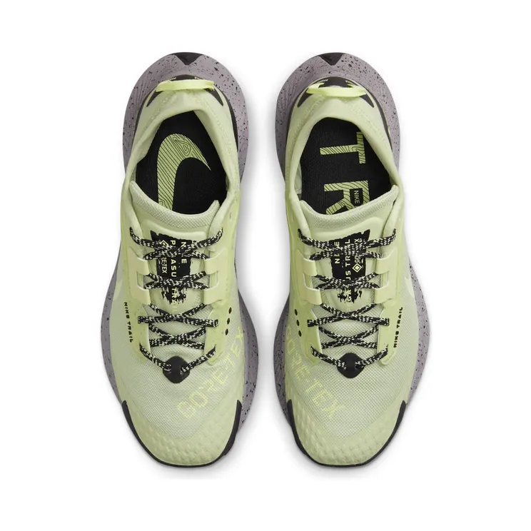 nike-air-pegasus DC8794-301