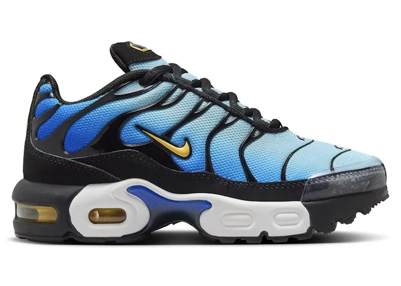 Nike Air Max Plus Hyper Blue (FZ0023-032)