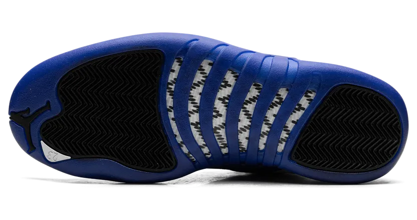 air-jordan-12 CT8013-140