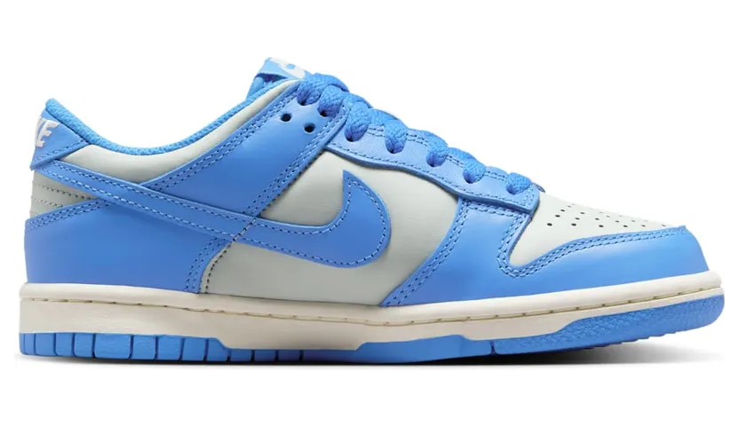 nike-dunk FB9109-004