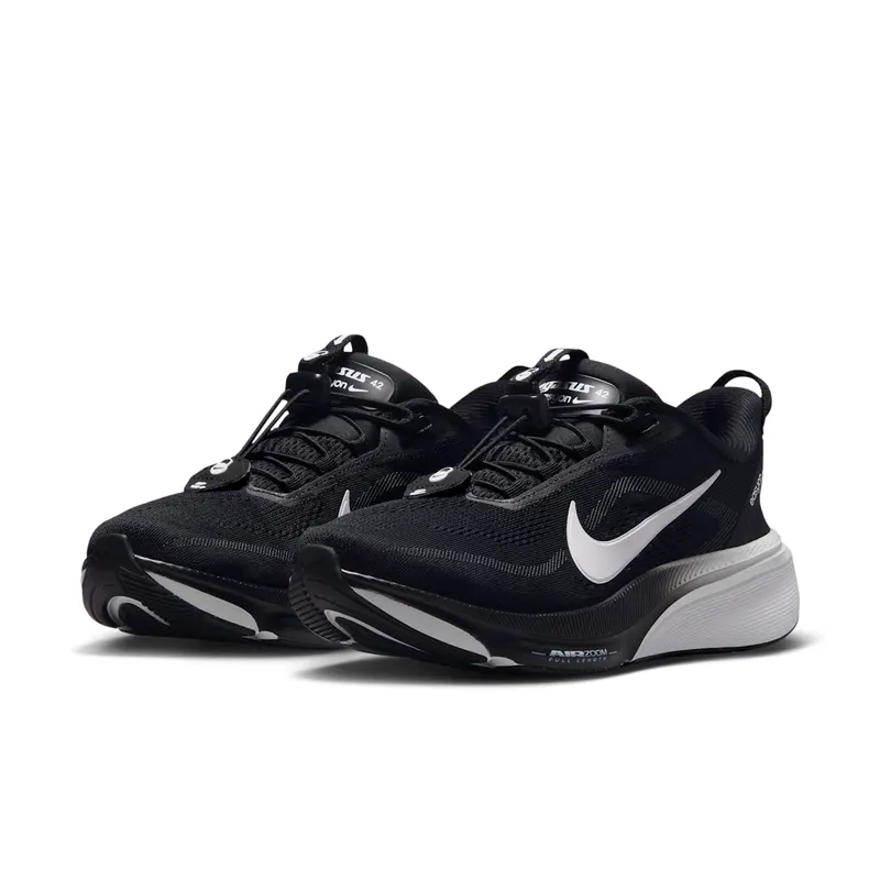 Nike Pegasus Black (IH1850-001)
