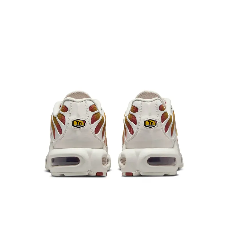 Nike Air Max Plus Grey (DZ3670-007)
