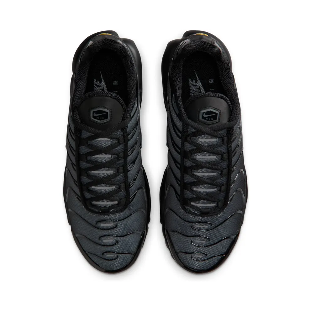 Nike TN Air Max Plus Black Metallic Silver Charm (IM6019-010)