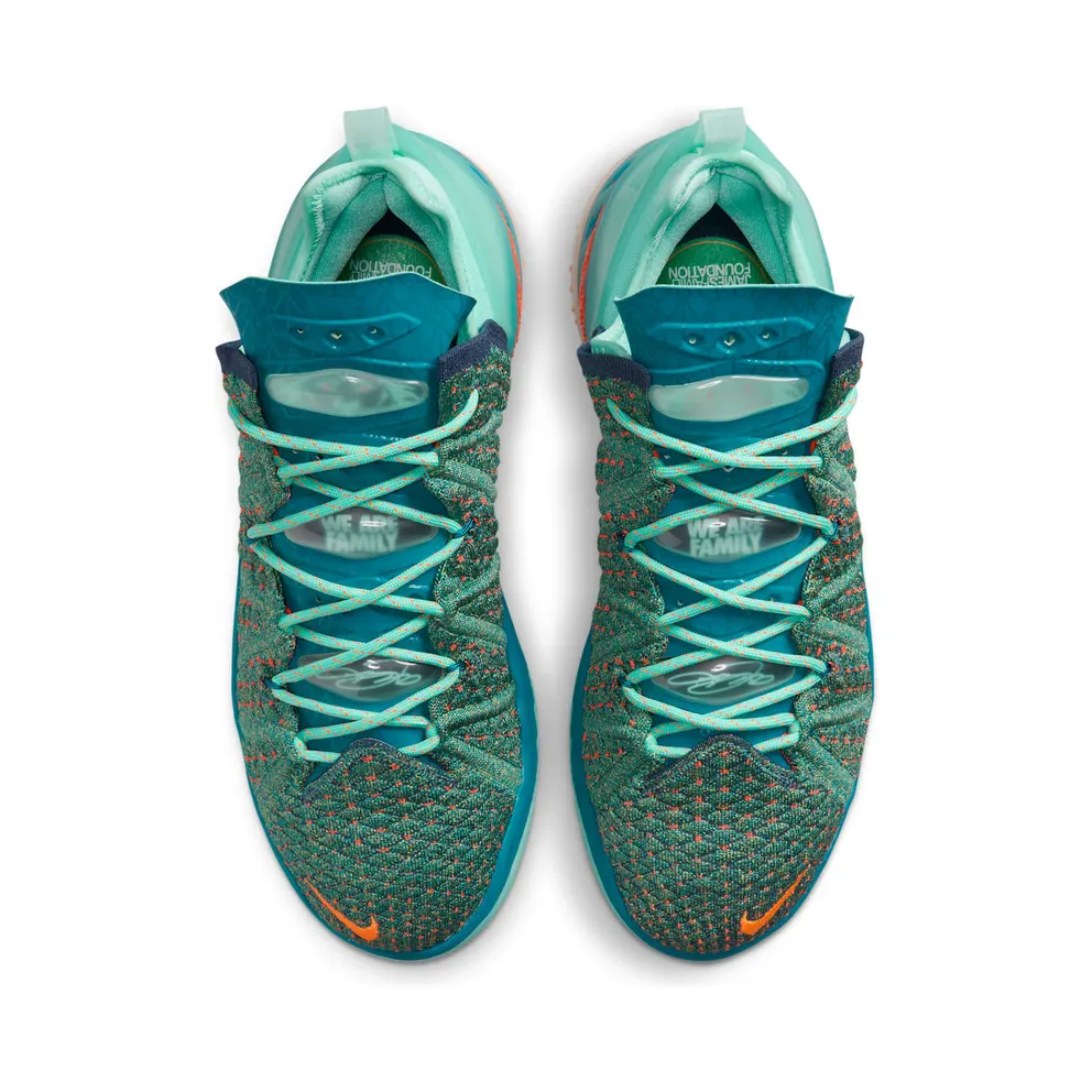 Nike LeBron 18 We Are Family (CQ9283-300)