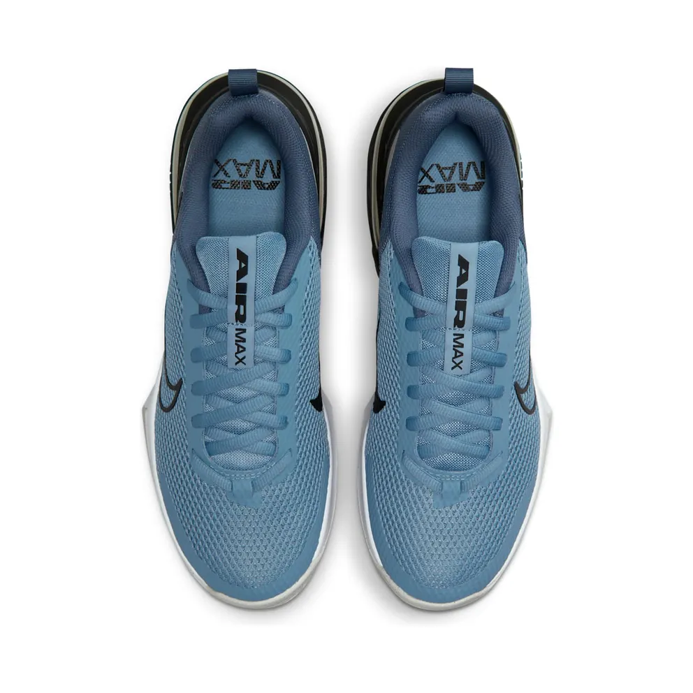Nike Air Max Alpha Trainer 6 Blue (FQ1833-402)