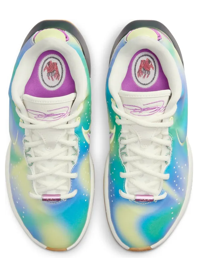 nike-lebron FN4305-900