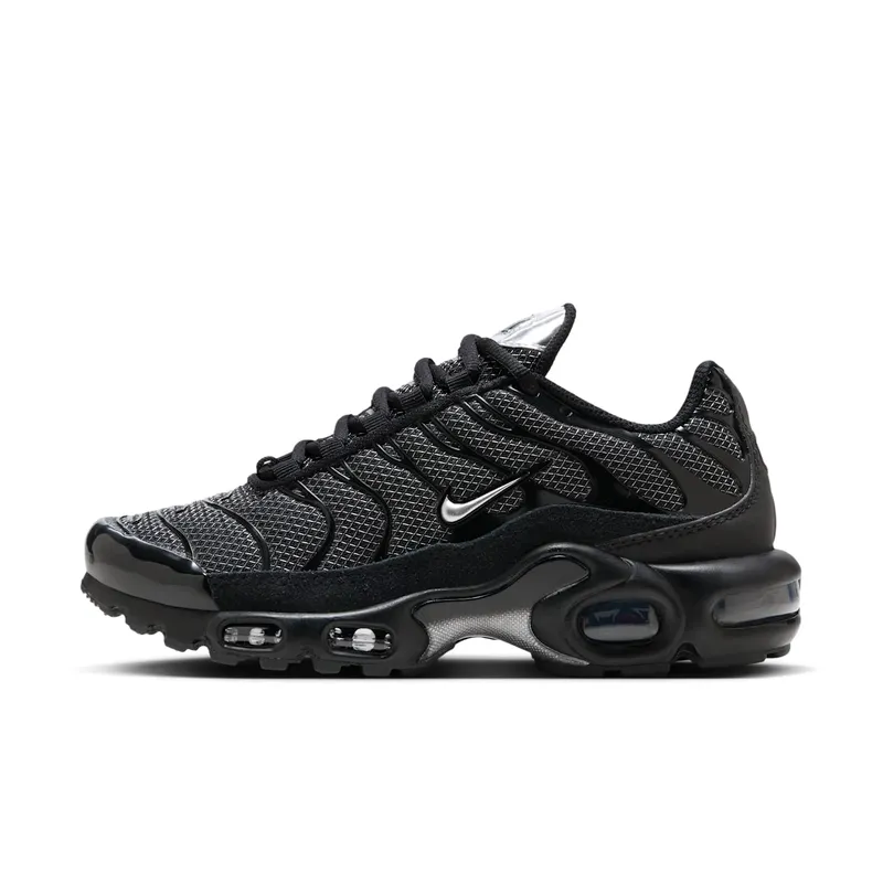 Nike Air Max Plus Black Suede Silver (W) (DQ0850-001)