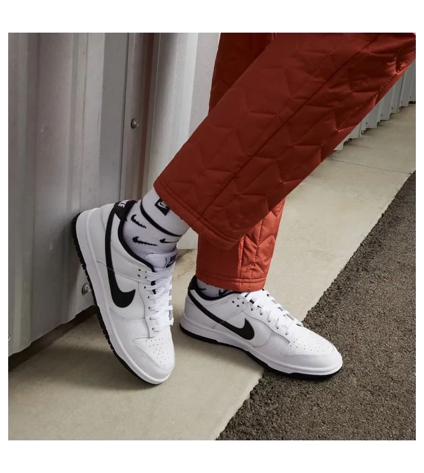 nike-dunk DD1503-113