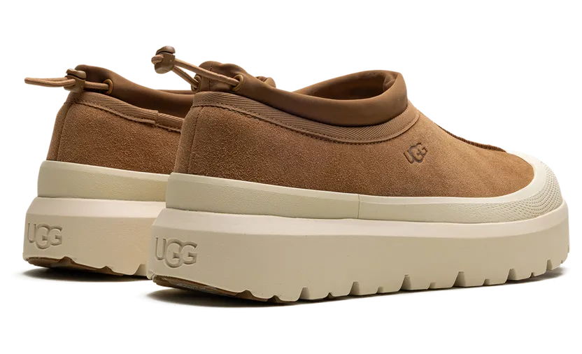 ugg-tasman 1144096-CWTC