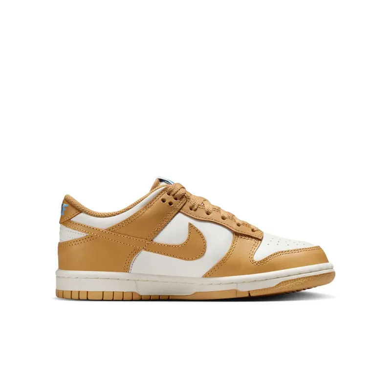 Nike Dunk Low GS “Honeycomb” (FB9109-700)