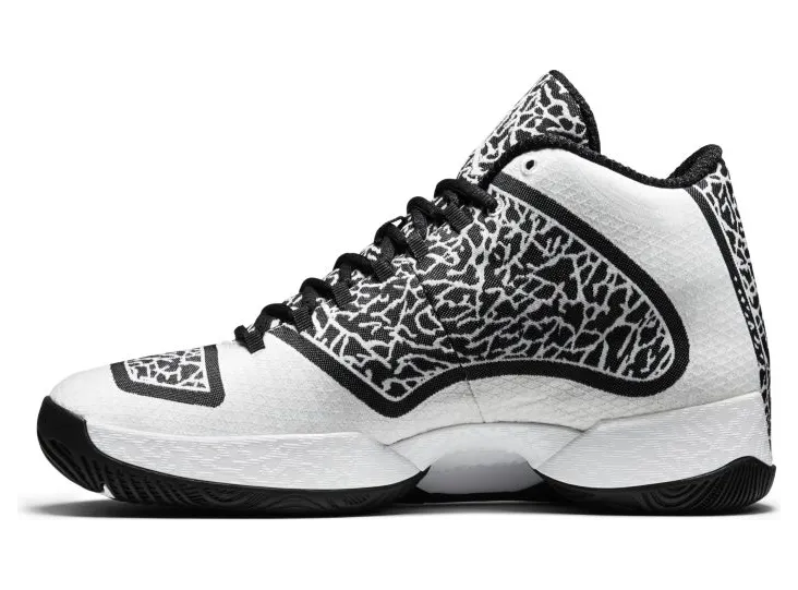 air-jordan-29 695515-070