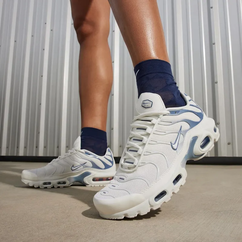 Nike Air Max Plus Ashen Slate (DZ3671-104)