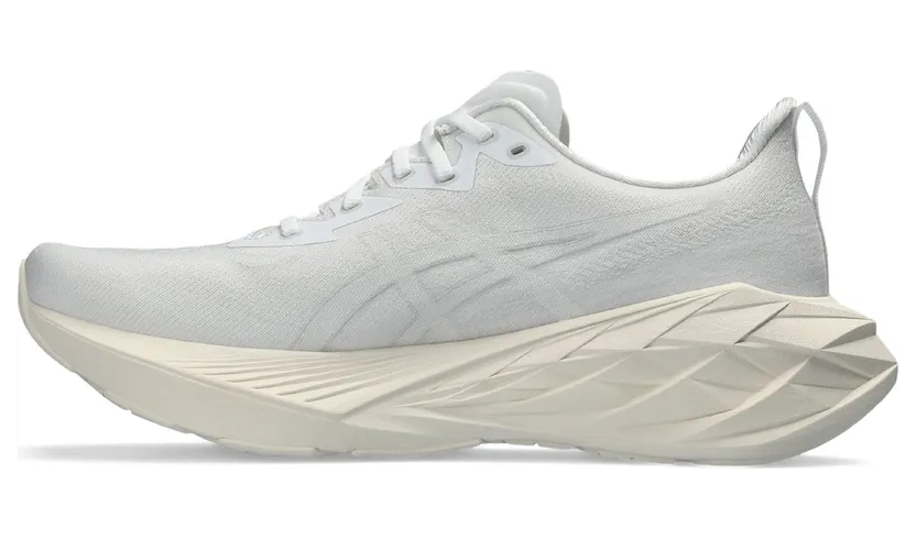 asics-novablast 1011B693-102
