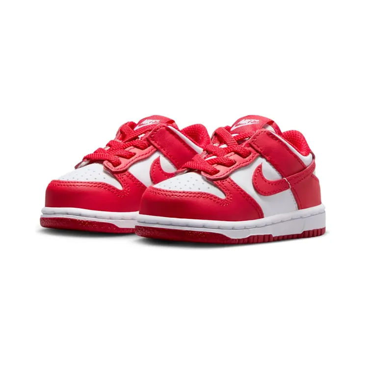 nike-dunk FB9107-119