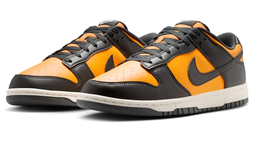 nike-dunk HF5441-700