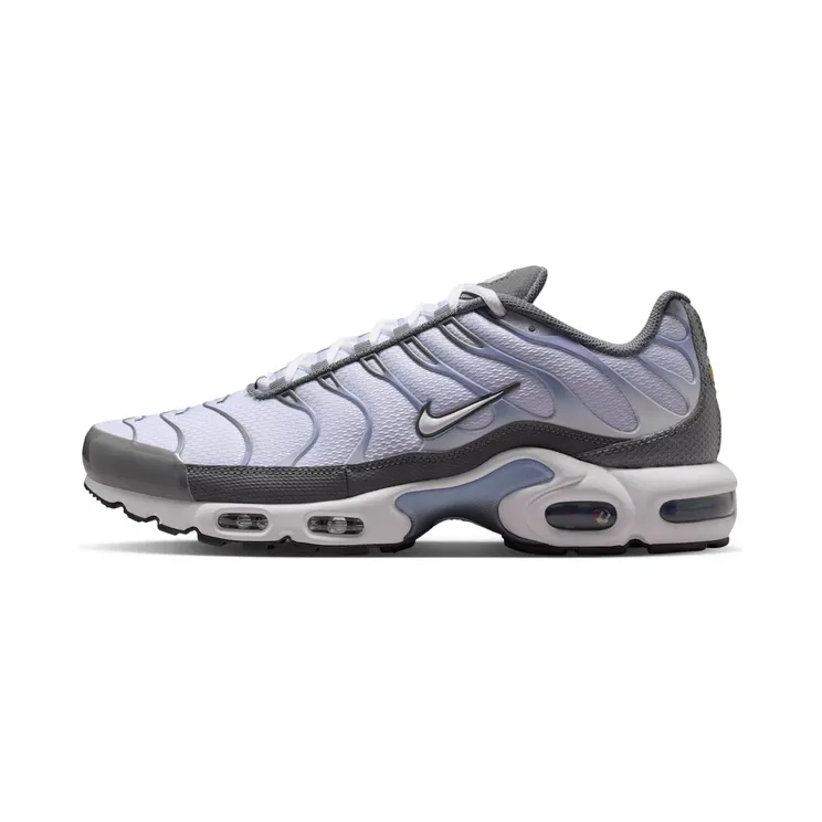 Nike Air Max Plus Smoke Grey/Light Armory Blue/Dark Smoke Grey/Wit (IV5757-070)