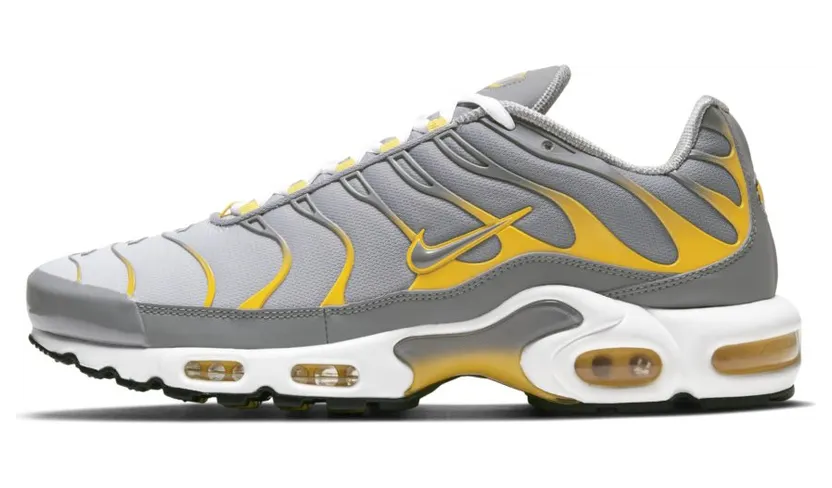 Nike Air Max Plus Grijs (DD7111-001)