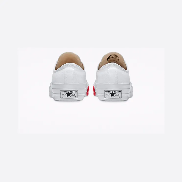 converse-chuck-taylor-all-star 163013C