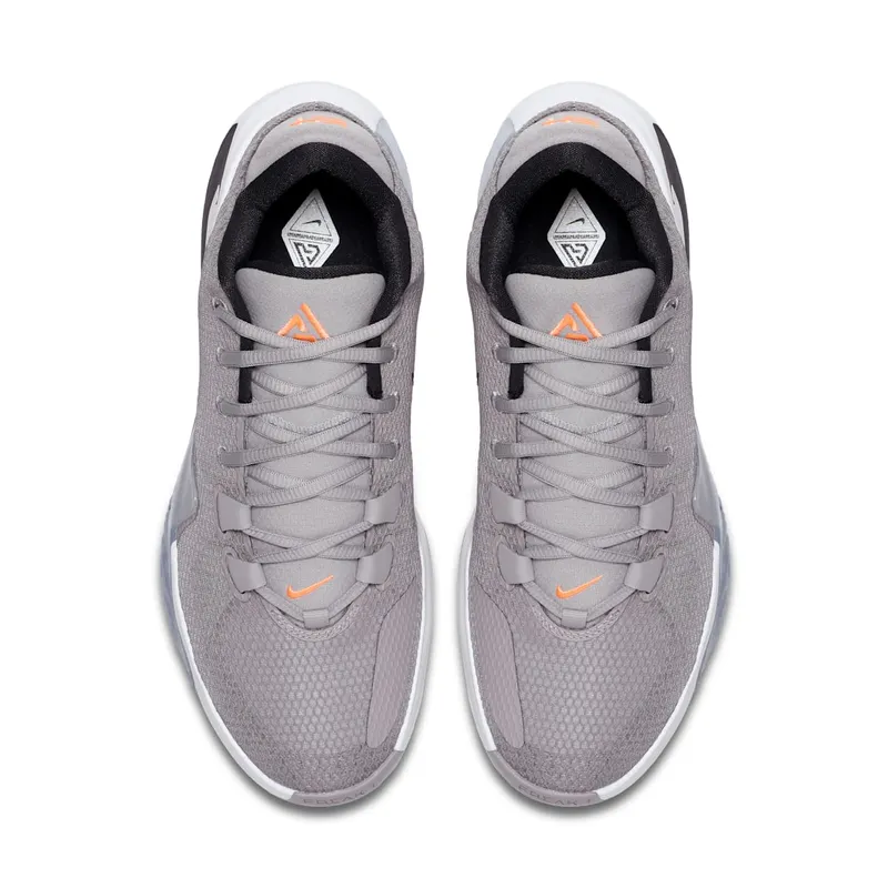 Nike Zoom Freak 1 Atmosphere Grey (BQ5422-002)