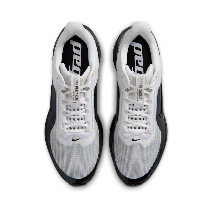 nike-air-pegasus IR2166-102