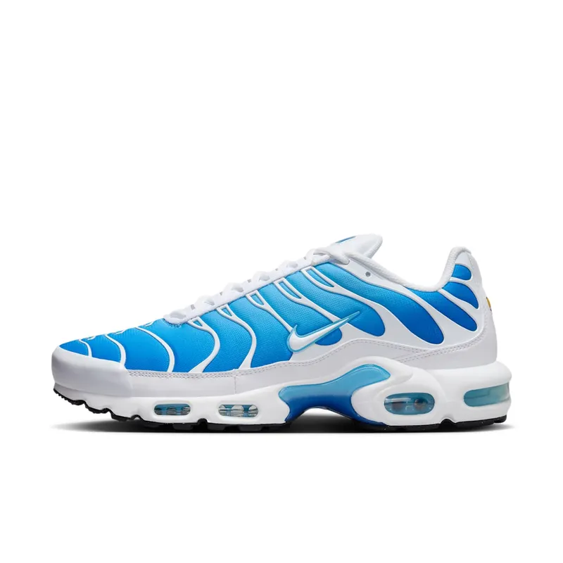 Nike Air Max Plus “Blue Gaze” (852630-411)