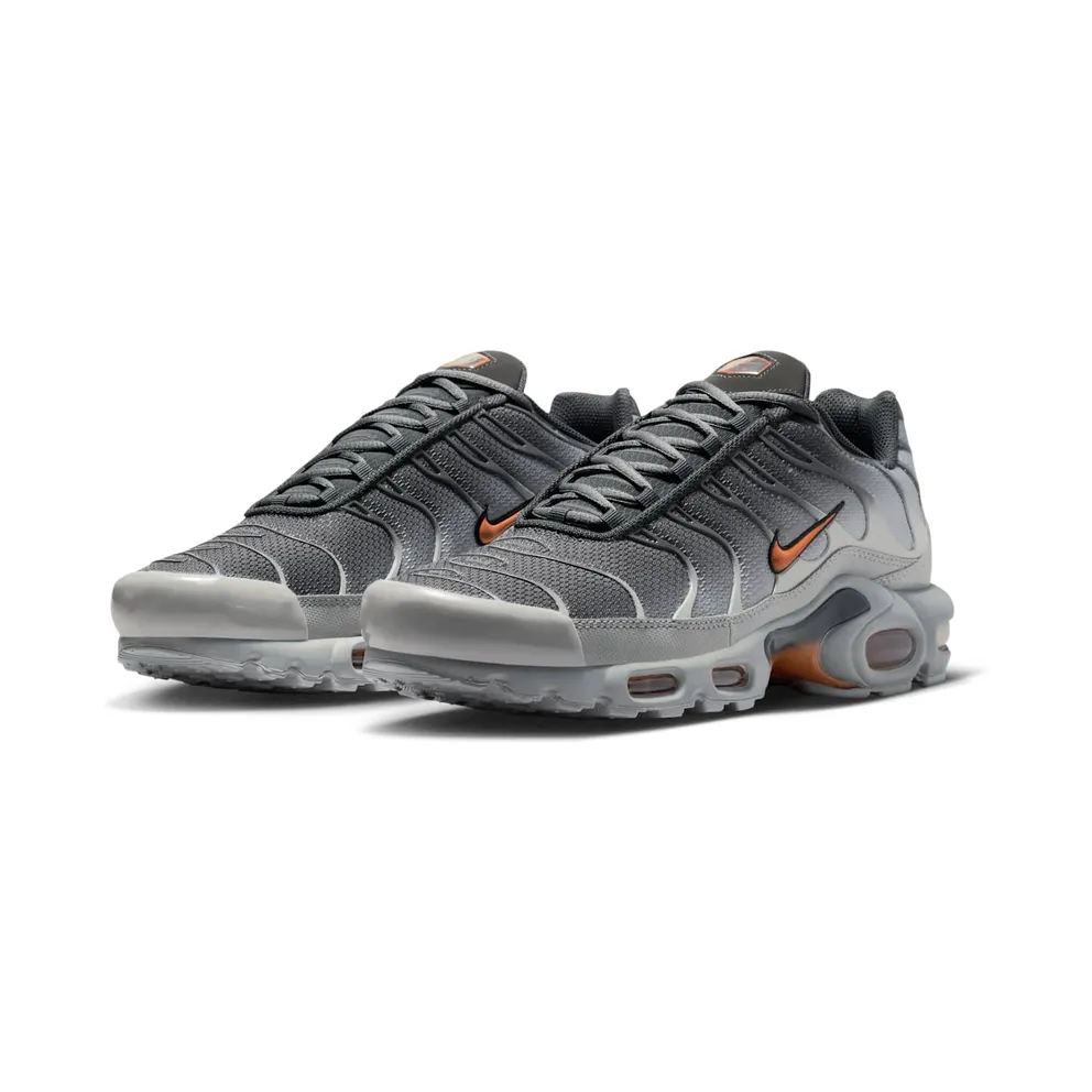 Nike Air Max Plus “Light Smoke Grey Hot Curry” (DM0032-037)