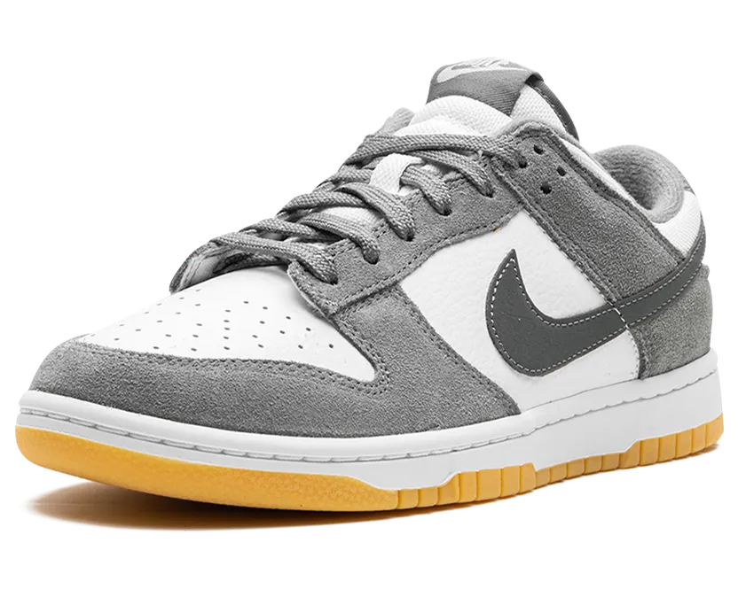 nike-dunk FV0389-100