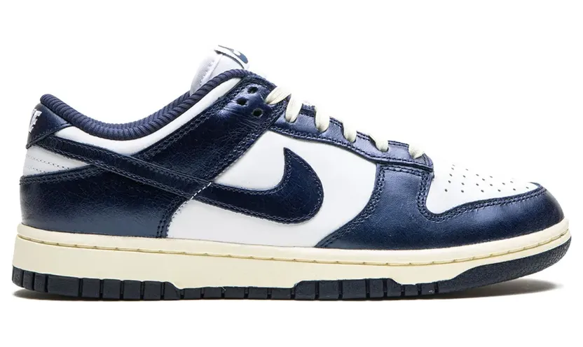 nike-dunk FN7197