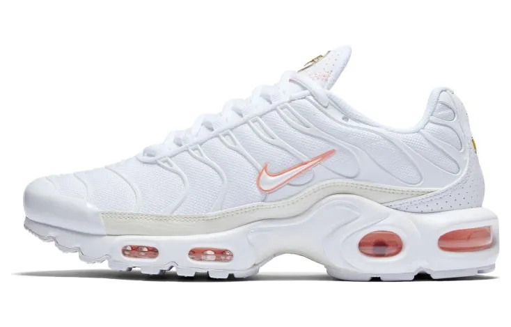 Nike Air Max Plus Wit (DC1428-100)