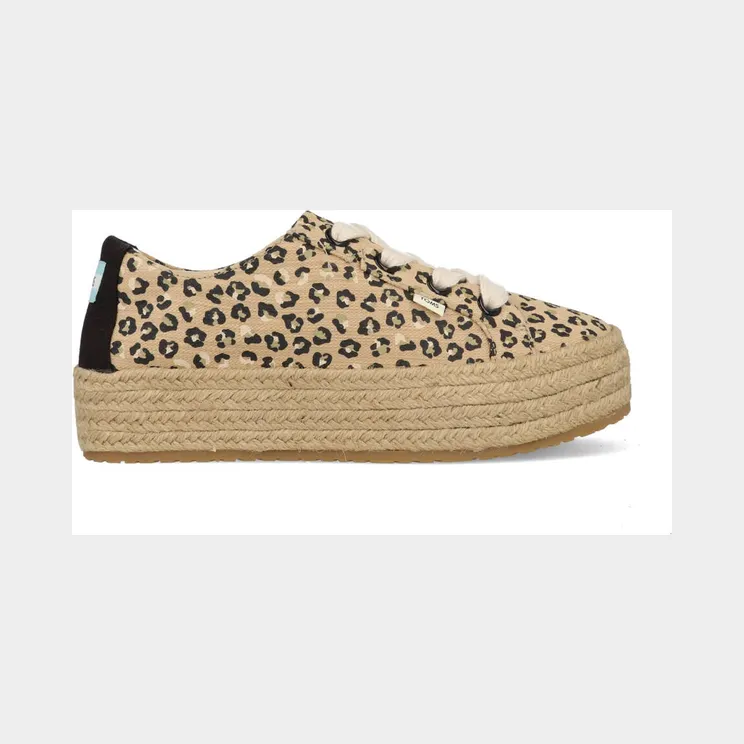 Toms Brown (10016308)