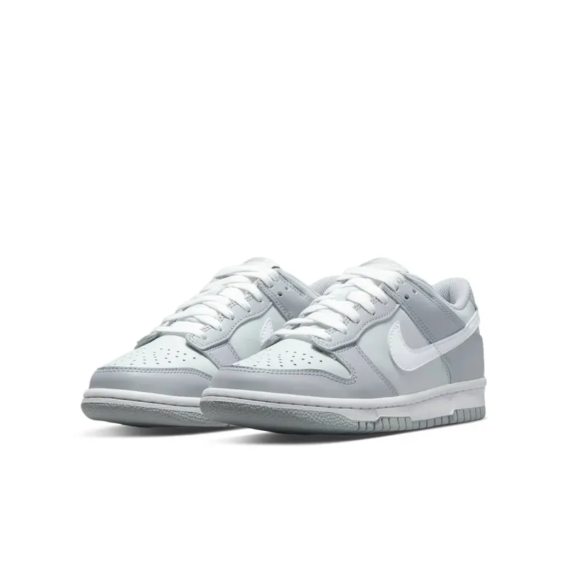 Nike Dunk Low Two-Toned Grey (GS) (DH9765-001)